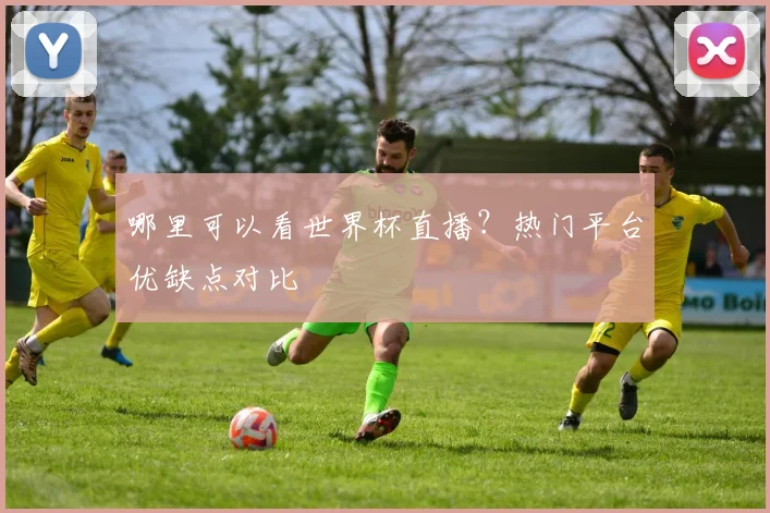 哪里可以看世界杯直播？热门平台优缺点对比