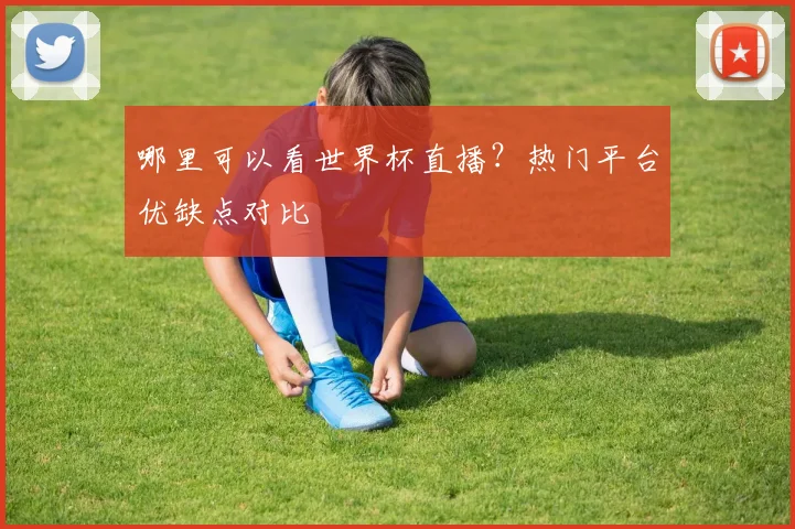 哪里可以看世界杯直播？热门平台优缺点对比