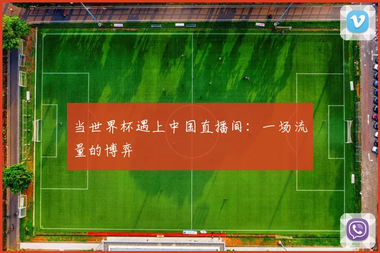 当世界杯遇上中国直播间：一场流量的博弈