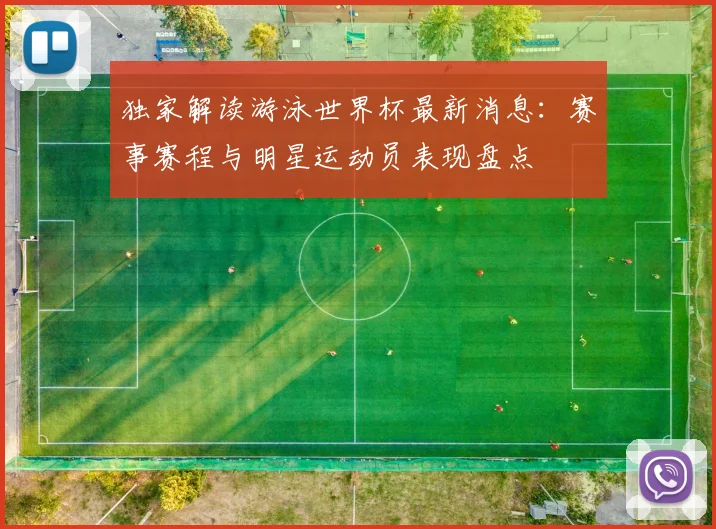 独家解读游泳世界杯最新消息：赛事赛程与明星运动员表现盘点